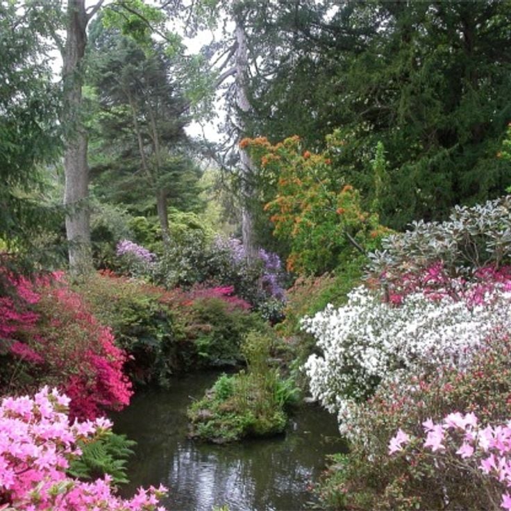 Bodnant Gardens