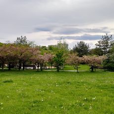 Park Bródnowski