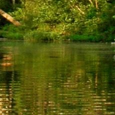 Buffalo National River