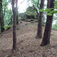 Kamenný vrch u Křenova