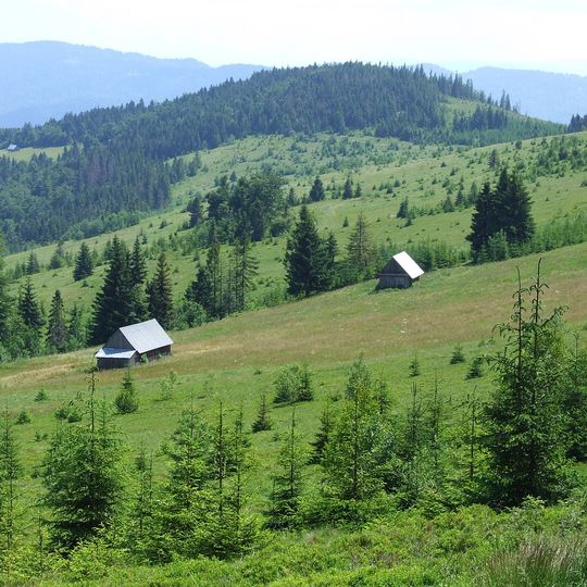 Jaworzynka Gorcowska