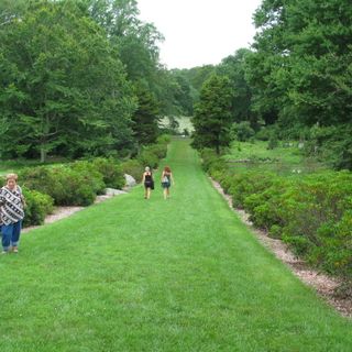 Connecticut College Arboretum