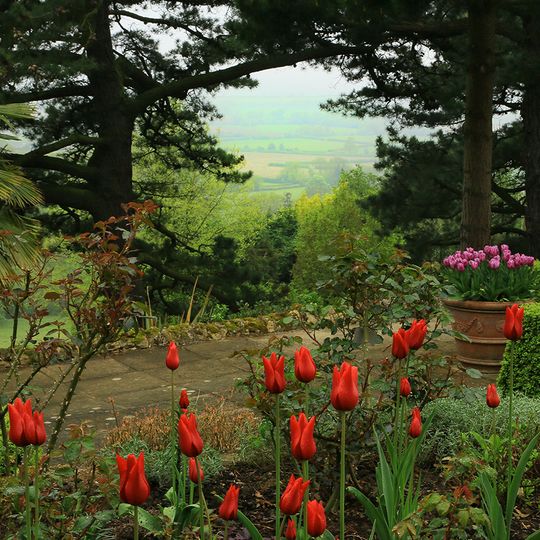 Kiftsgate Court Gardens