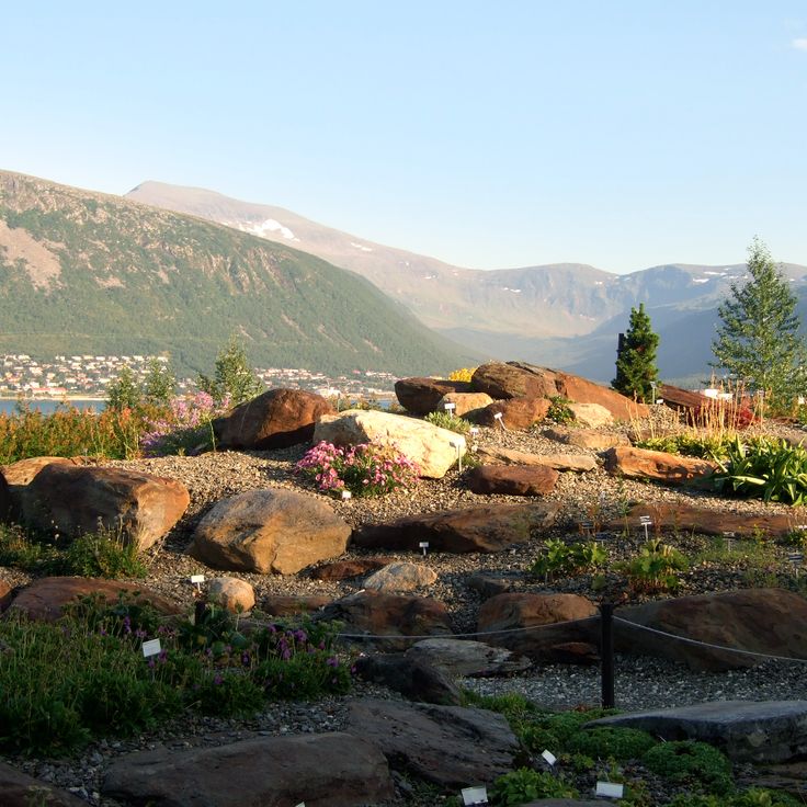 Arctic-alpine Botanic Garden
