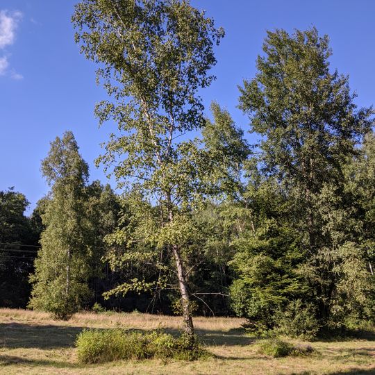 Pod hájenkou Kyčera