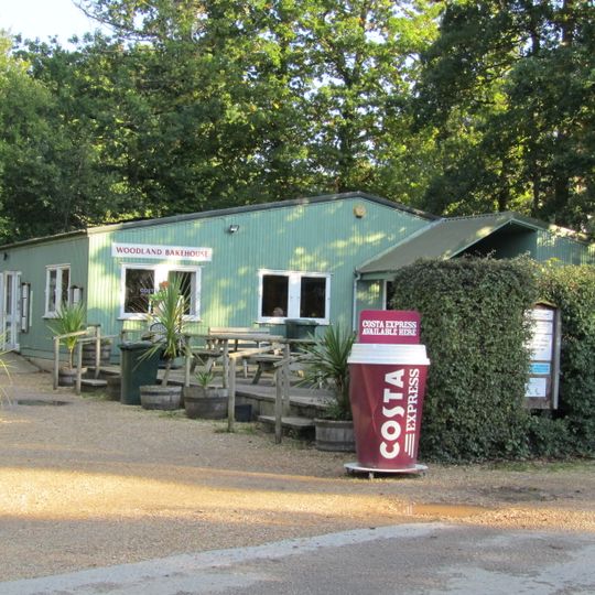 New Forest Wildlife Park