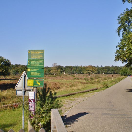 Nieuw Busssumerheide