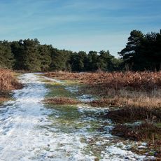 Sutton & Hollesley Commons