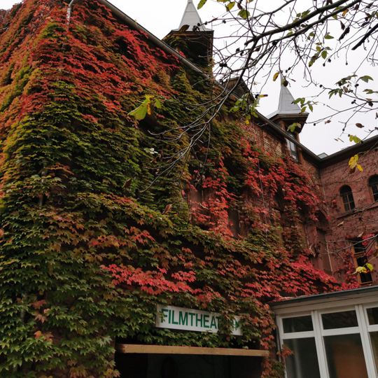 Cinéma Badischer Hof