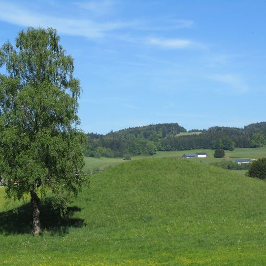 Grabhügel südlich von Speck