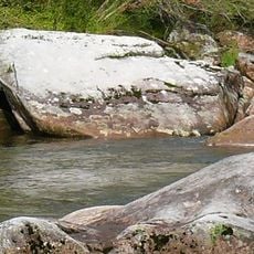 Monongahela National Forest