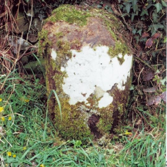 Roman milestone 500ft SE of Overtown Farm