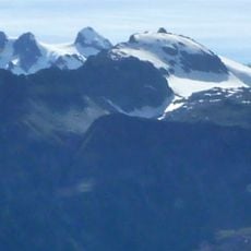 Glacier Fox