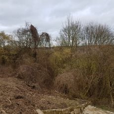 Naturdenkmal Sukzessionsfläche Wilm Leite