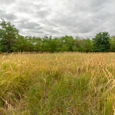 Урочище Балка Глибока