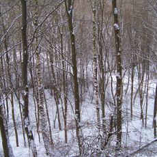 Most přes Klíčavu u Karlova Luhu