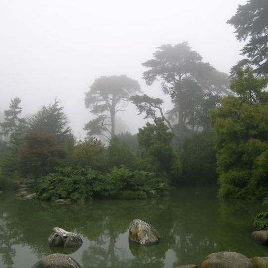 San Francisco Botanical Garden