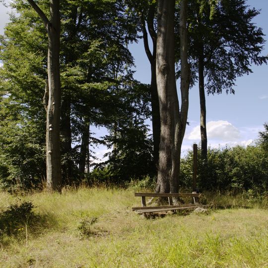 Landschaftsschutzgebiet Eisenberg bei Schlitz