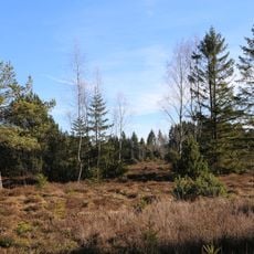 LSG Ebenbergfilze in der Gemeinde Dietramszell