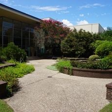 Texas Discovery Gardens