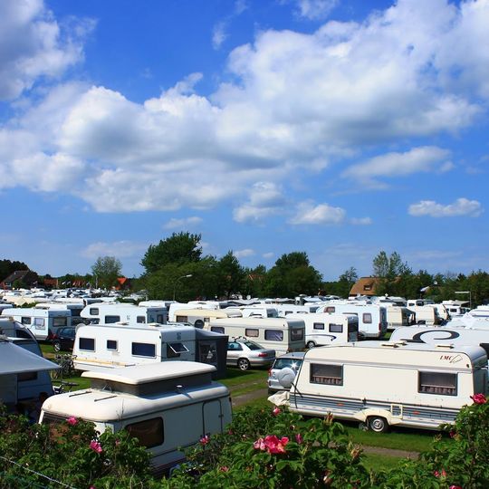 Rosen-Camp Kniese
