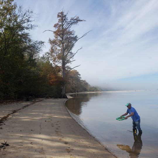 Chippokes Farm and Forestry Museum