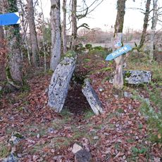 Dolmen du Cloup de Rhines