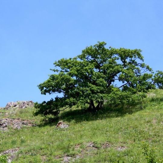 Rhenish-Hessian Switzerland