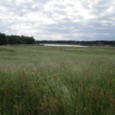 Schwartauwiesen