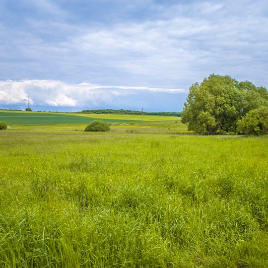 Schleifwiesen und Nußloch bei Lindach