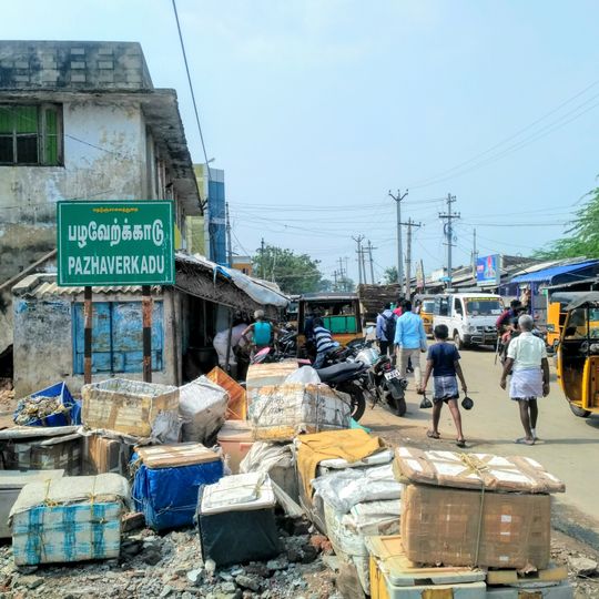Pulicat