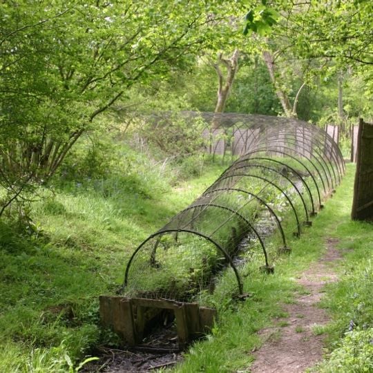 Boarstall Duck Decoy