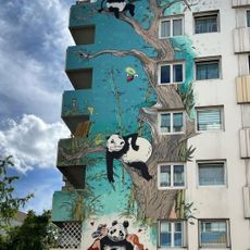 Pandas dans la Brume