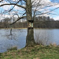 Obrázek Anděla Strážného na stromě u Zámeckého rybníku v Lipové