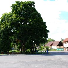 Lípy v Drevníkách