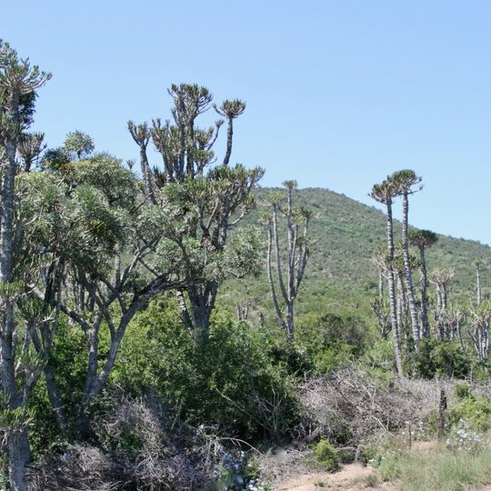 Sam Knott Nature Reserve