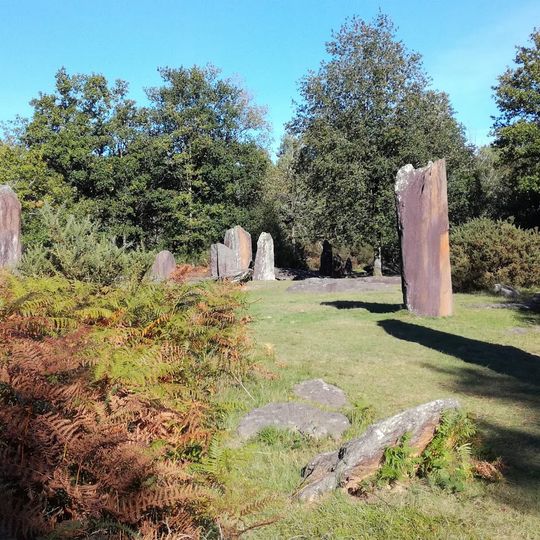 Menhirs de Monteneuf