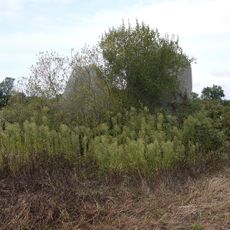 Menhirs de la Rainière