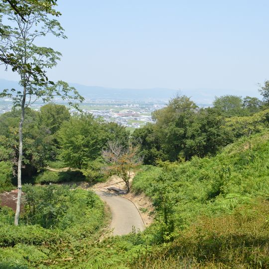 Iwase Sensuka Kofungruppe