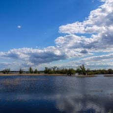 Kopačko Jezero