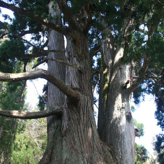 Hakusan Chūkyo Shrine