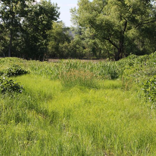 Russell R. Kirt Prairie