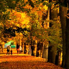 Alej u minerálního pramene