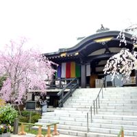 Hasunumachō