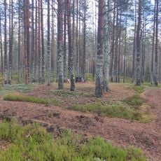 Братская могила советских воинов (Питкярантское г.п.)