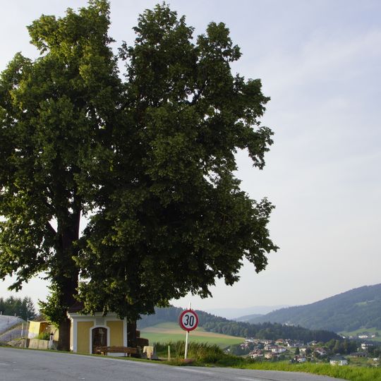 Zwei Kapellenlinden von Peilstein