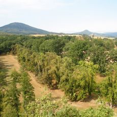 30 dubů tvořících alej podél obvodní zdi při severní straně v oboře Vřísek