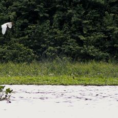 Parco nazionale naturale di Catatumbo Barí
