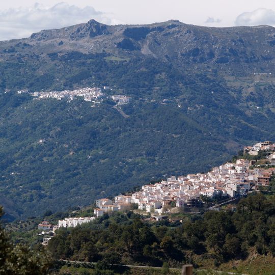 Jubrique
