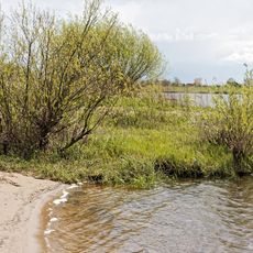 Lauenburger Elbvorland